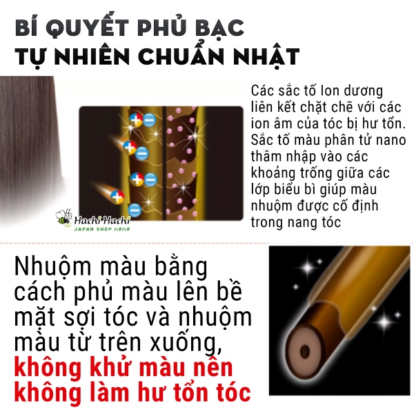 Kem-u-nhuom-phu-bac-Rishiri-(1).jpg
